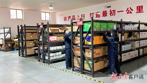 挑起为农“扁担”，擦亮“金字招牌”——从“静宁模式”看全省基层供销合作社改革实践